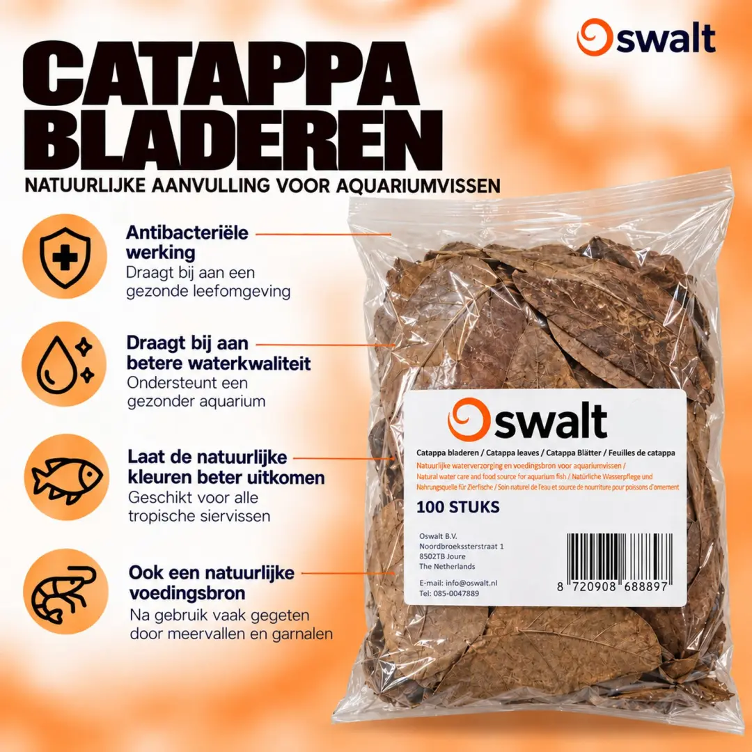 Oswalt Catappa Bladeren