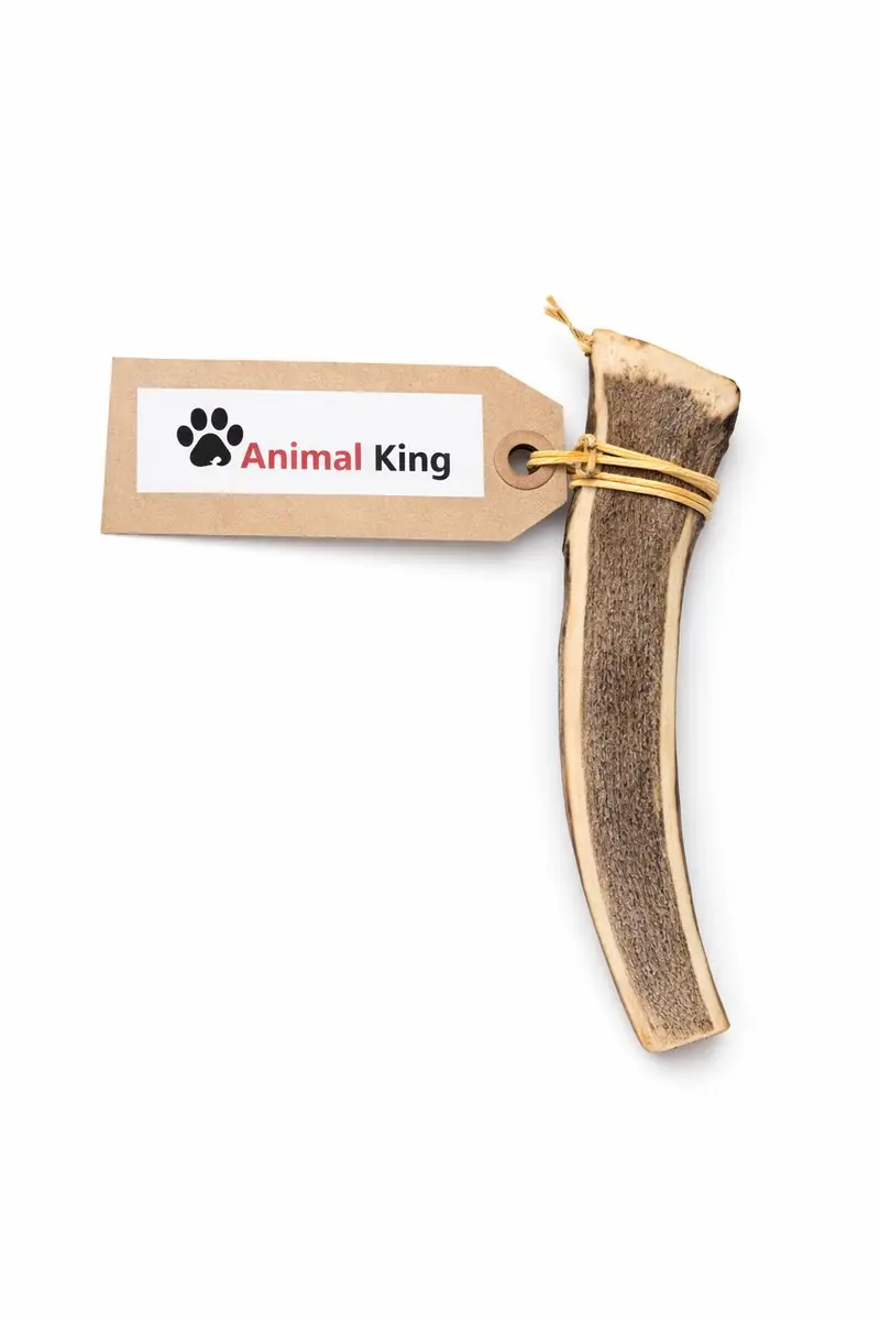 Hertengewei Easy voor Hond