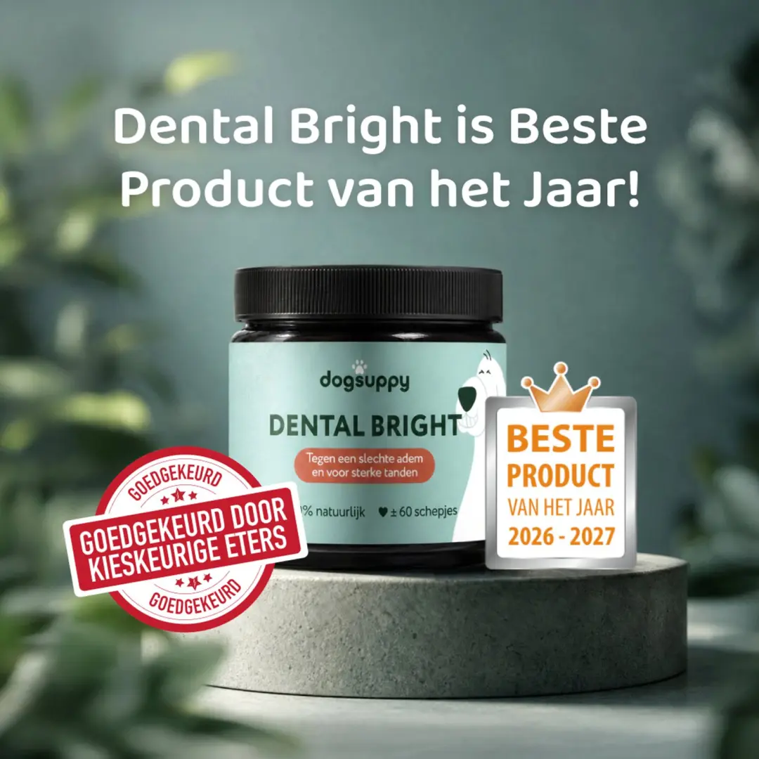 DogSuppy Dental Bright - 60 Stuks - afbeelding 2 van 6