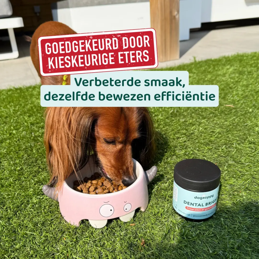 DogSuppy Dental Bright - 60 Stuks - afbeelding 4 van 6