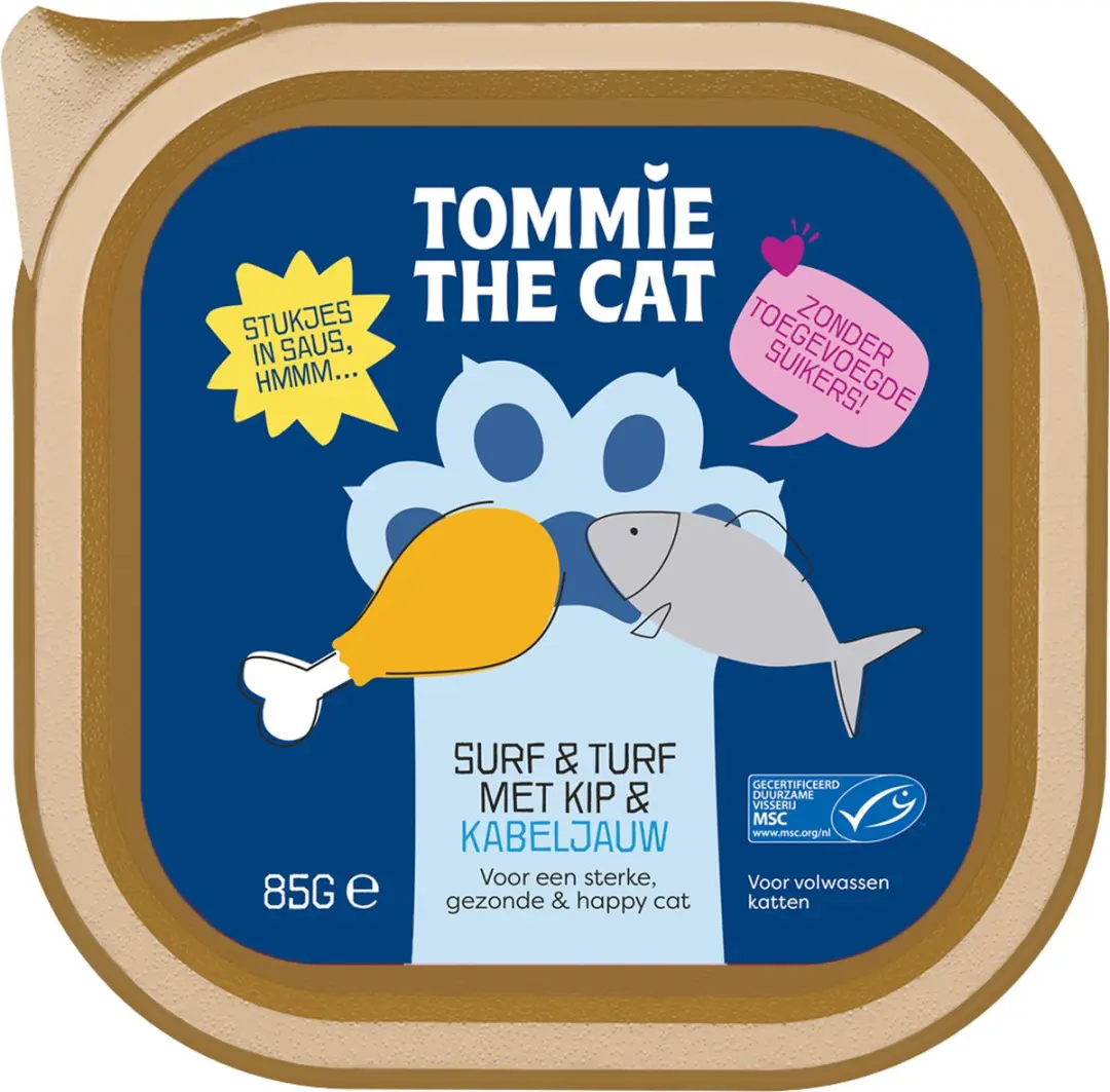 Tommie the Cat