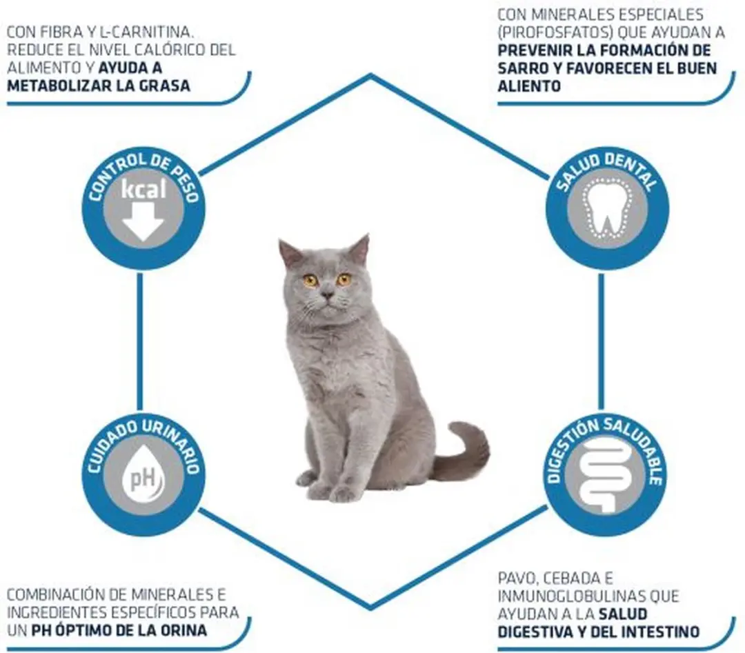 Advance Sterilized Kattenvoer Kalkoen - 3kg - afbeelding 6 van 6