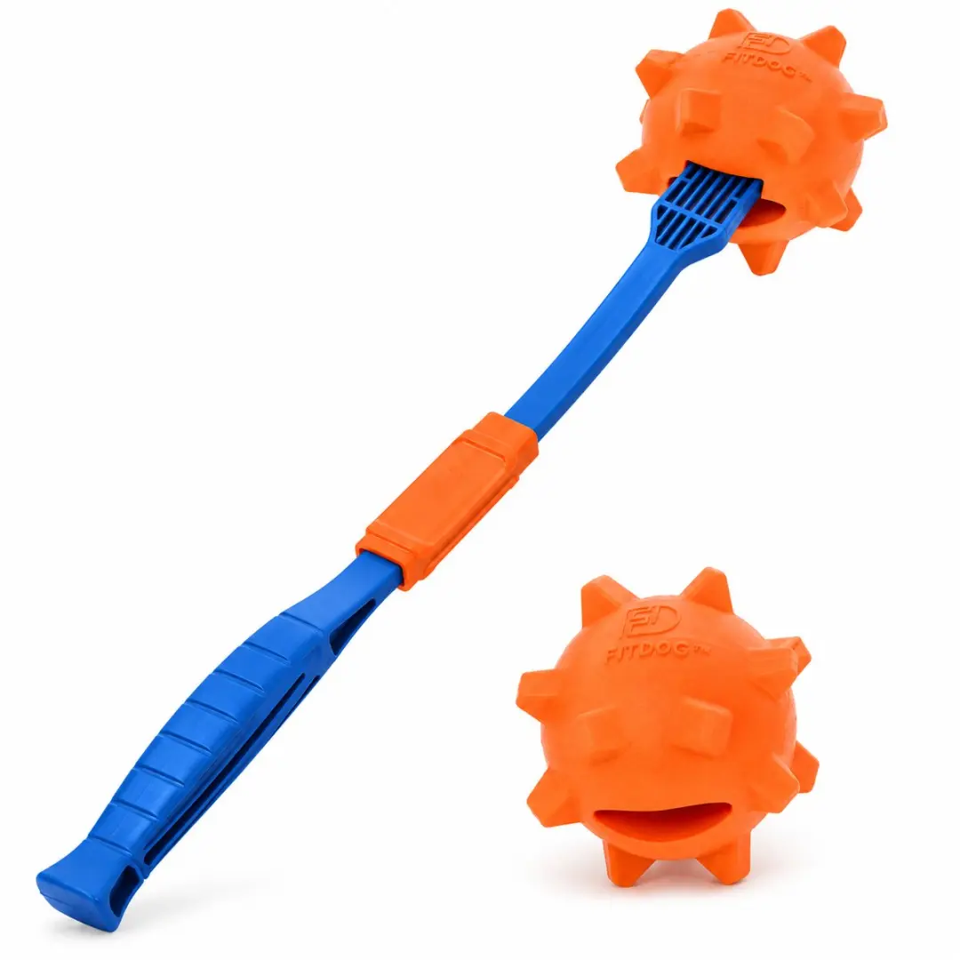 Rosewood FitDog Apporteerset