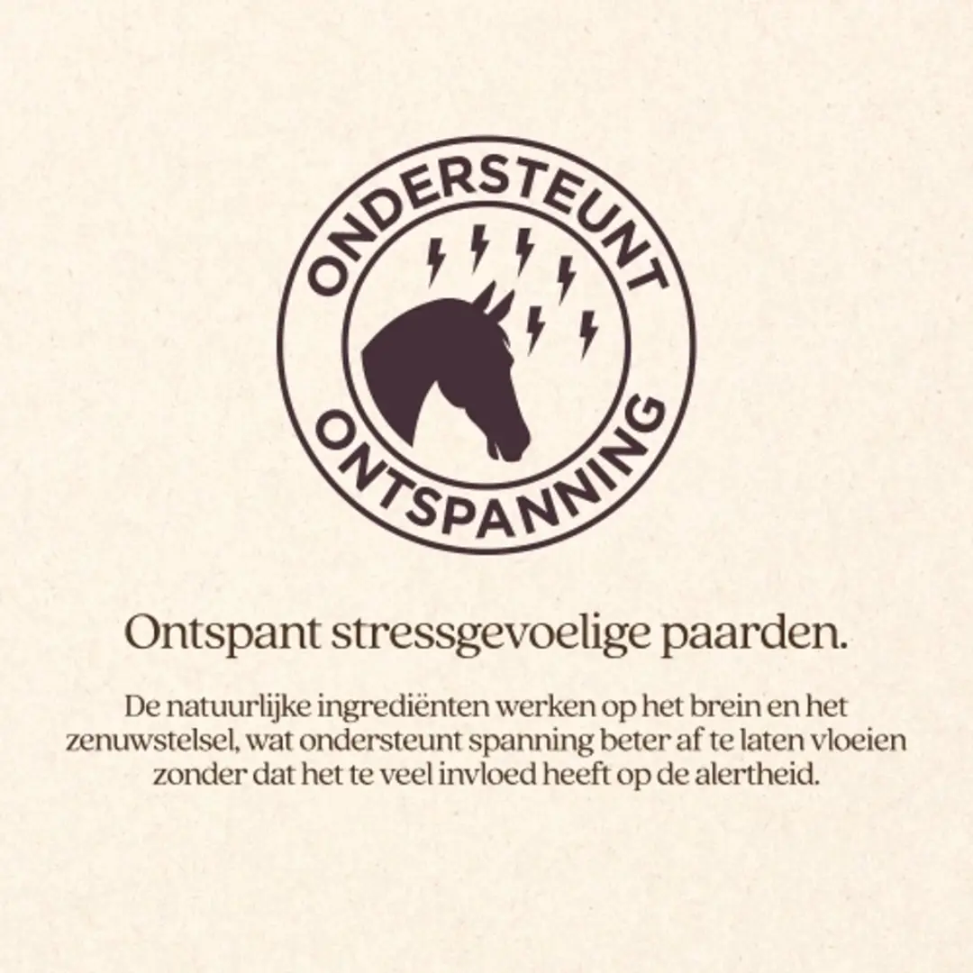 VITALstyle Chillpill Paardensupplement - 60 stuks - afbeelding 2 van 3