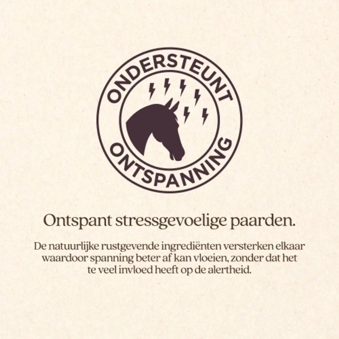 VITALstyle Stresscontrol Paardensupplement - 1 L - afbeelding 3 van 6