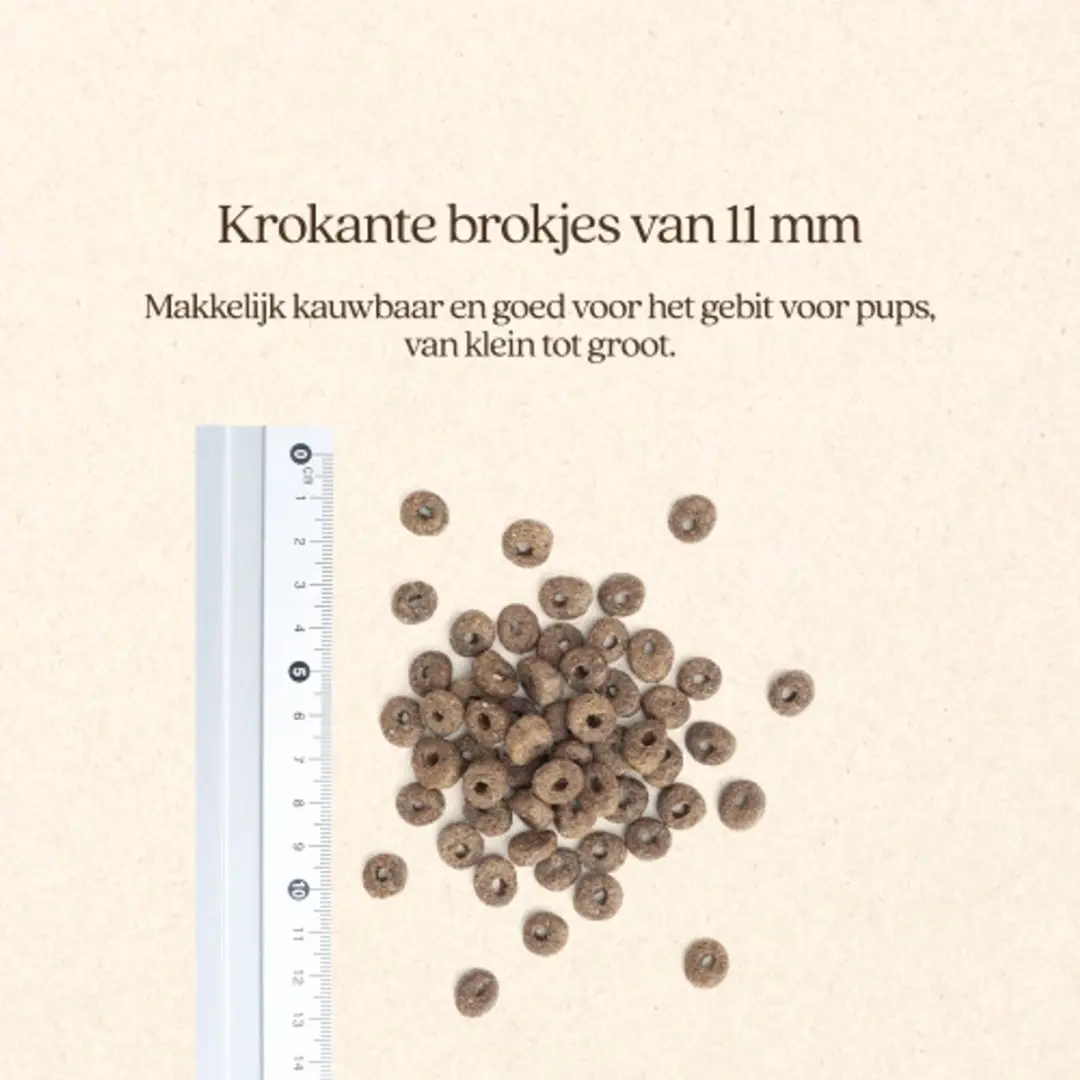VITALstyle Puppy & Junior Hondenvoer - 3 kg - afbeelding 2 van 3
