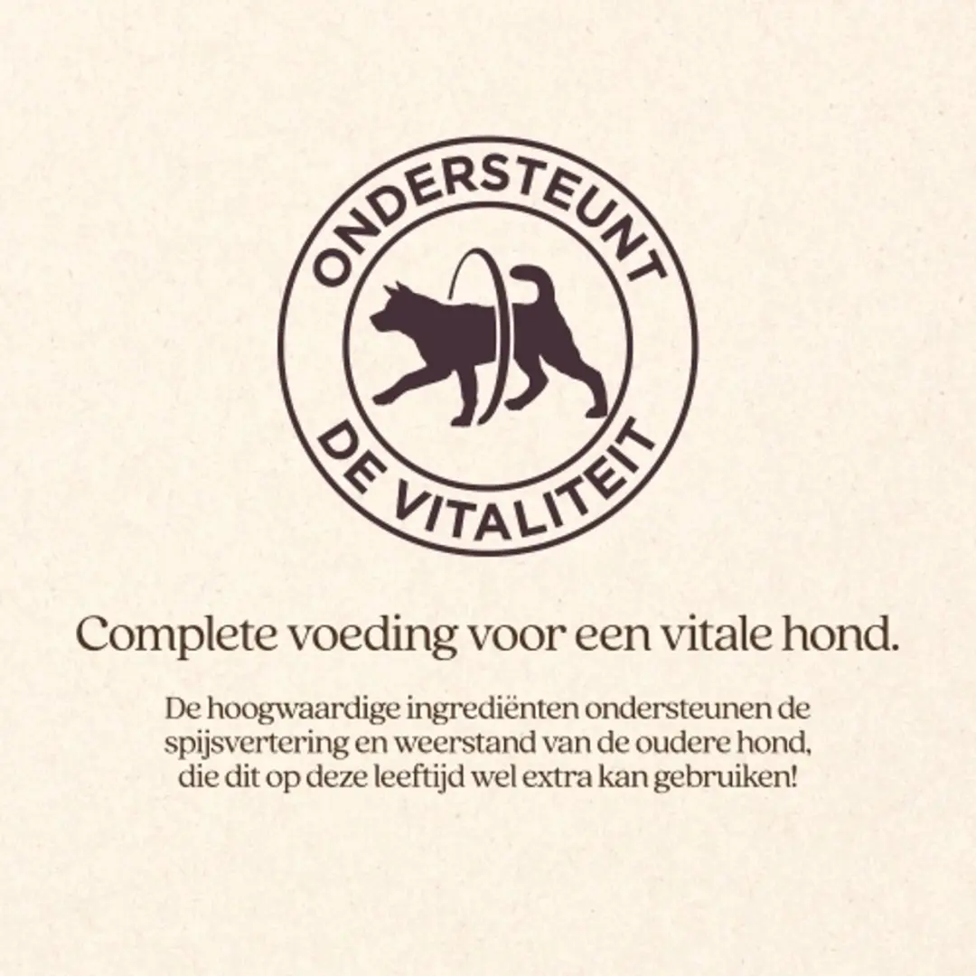 VITALstyle Senior Hondenbrokken 3kg - afbeelding 4 van 6