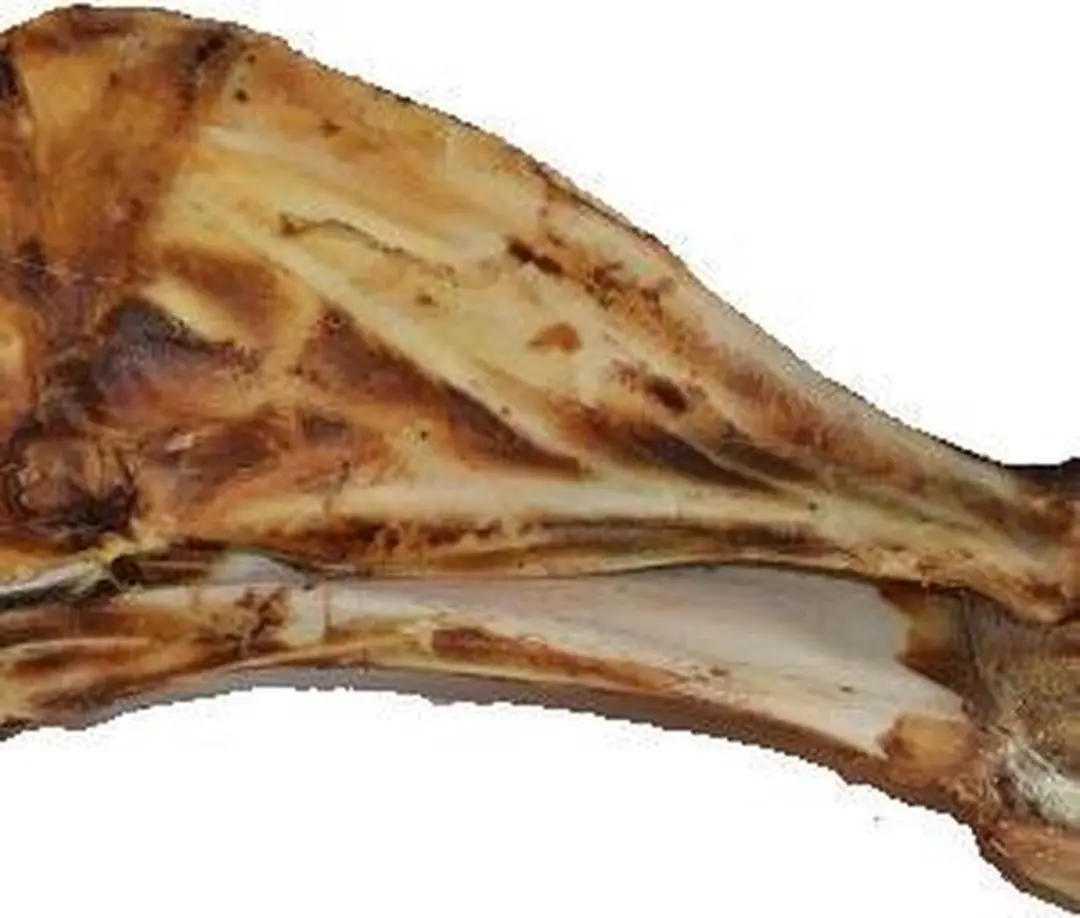 Runderschouderblad