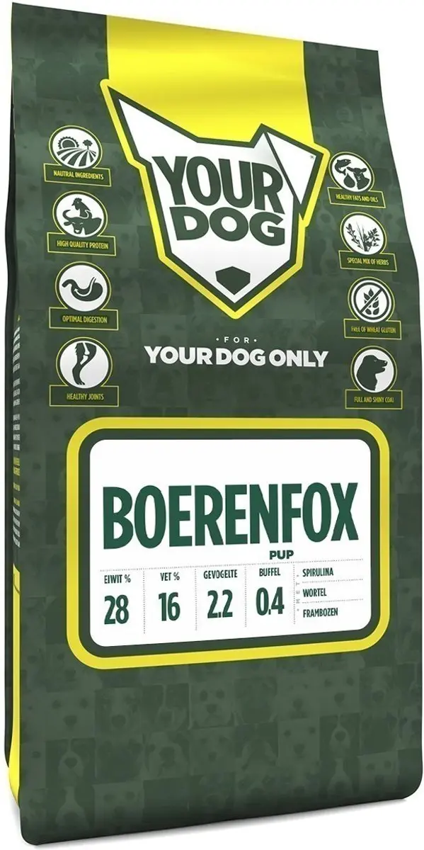 Yourdog boerenfox pup