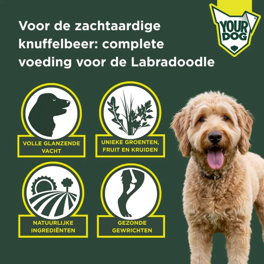 Yourdog Labradoodle Pup Hondenbrokken - 12kg - afbeelding 2 van 4