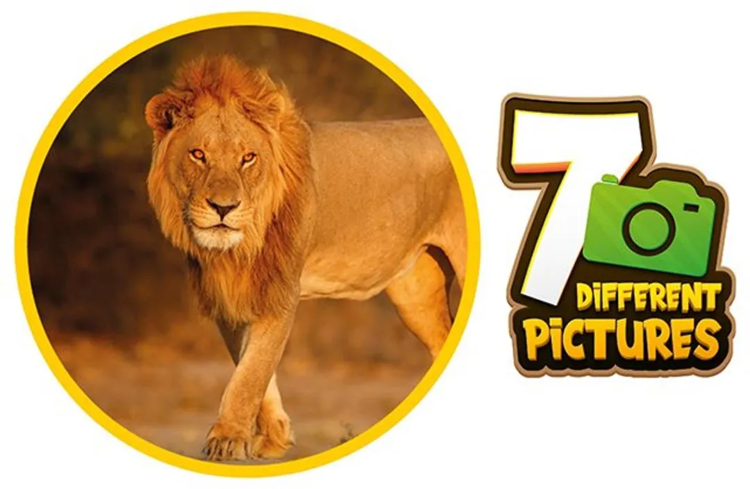 Toi-Toys Dierenwereld Diakijker 35622A - Multikleur