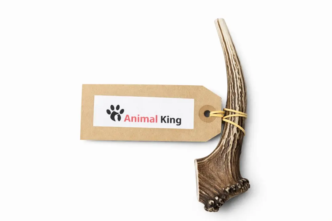 Hertengewei voor Hond 120-160 Gram