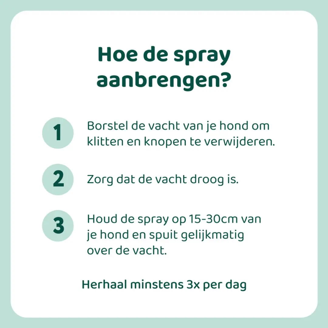DogSuppy Anti-Jeuk Spray 250ml - afbeelding 5 van 6