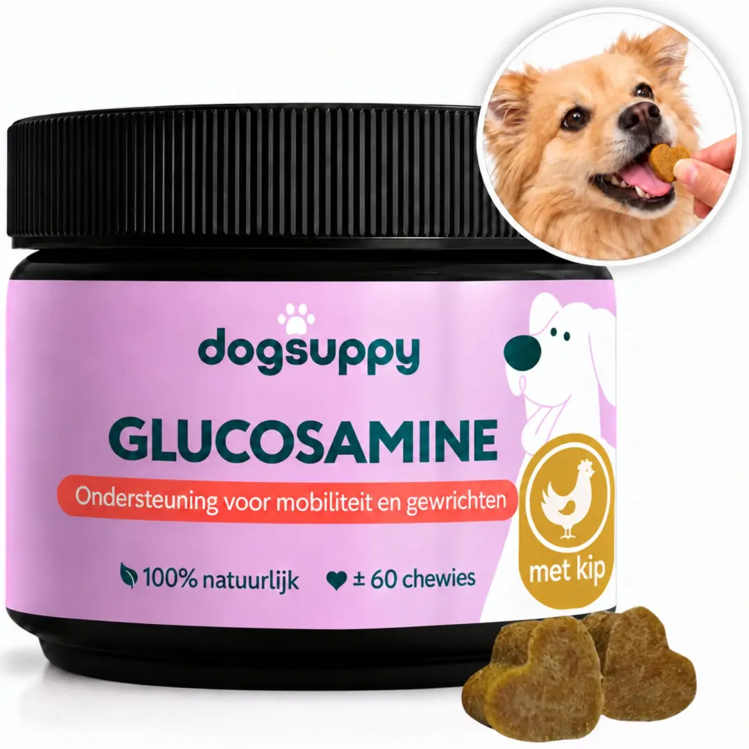 DogSuppy Glucosamine Snoepjes Hond
