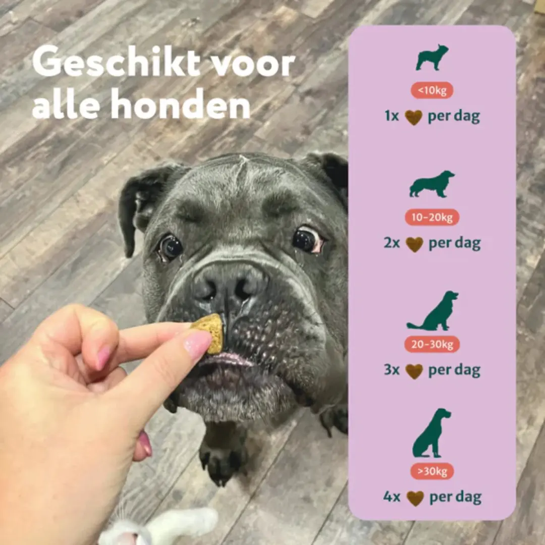 DogSuppy Glucosamine Snoepjes Hond - 180g - 60 stuks - afbeelding 4 van 6