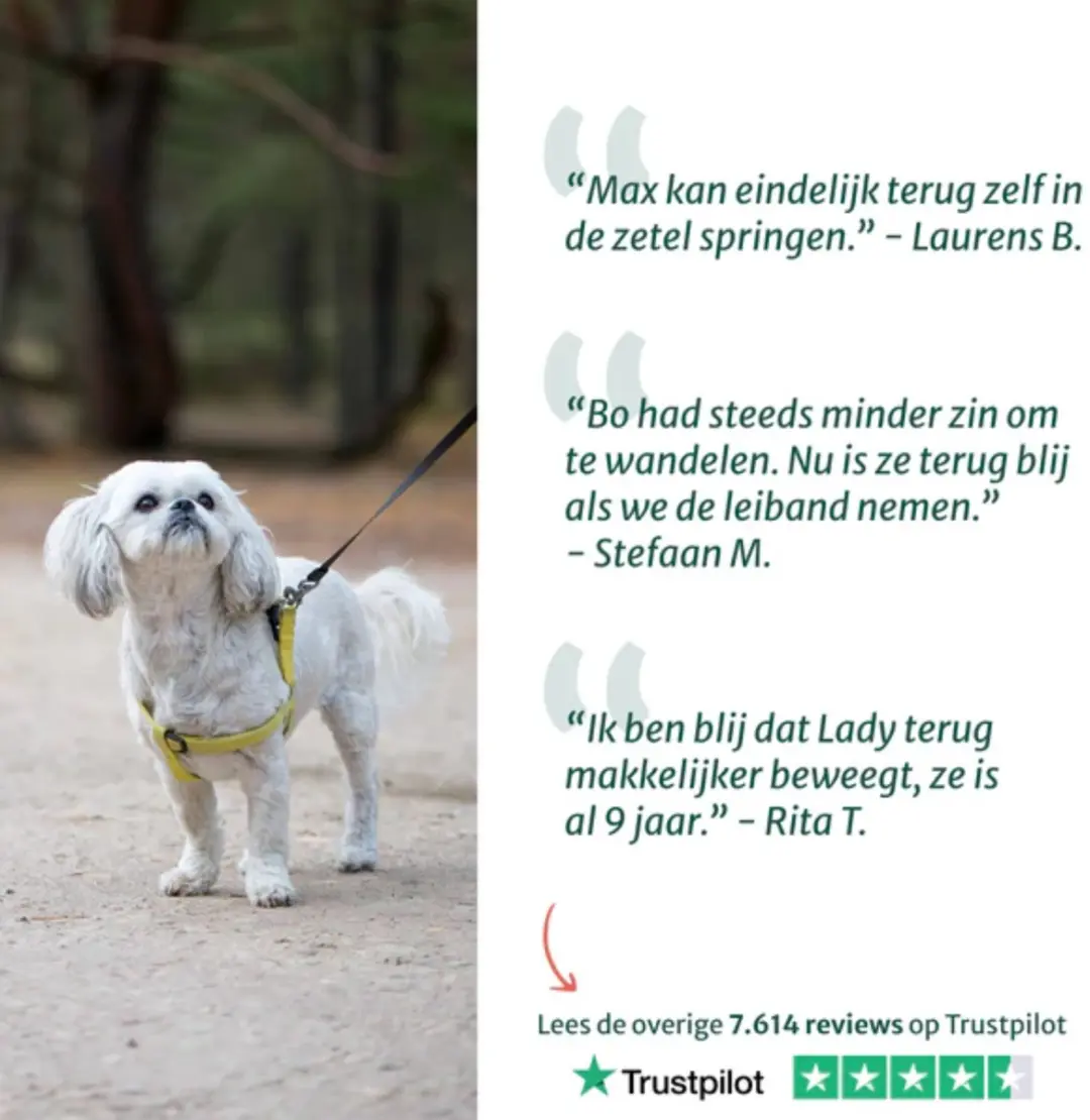DogSuppy Glucosamine Snoepjes Hond - 180g - 60 stuks - afbeelding 3 van 6