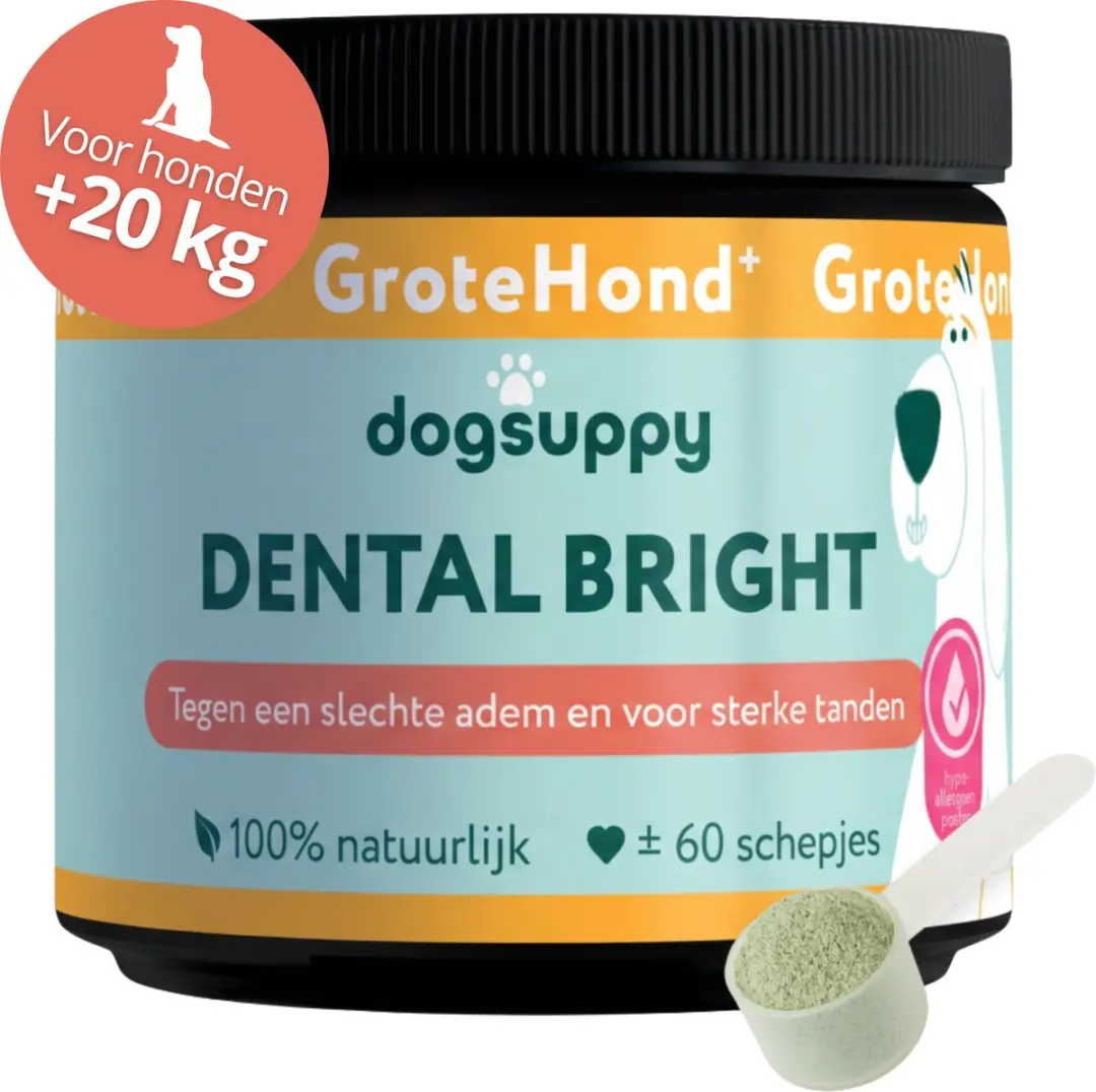 DogSuppy Grote Hond Dental Bright Gebitspoeder