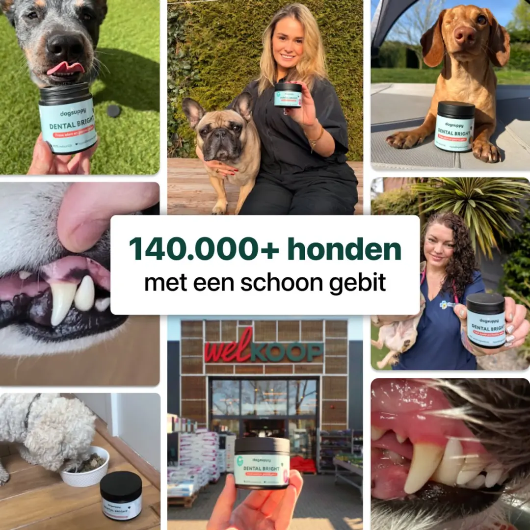 DogSuppy Grote Hond Dental Bright Gebitspoeder - 250 gram - afbeelding 4 van 6