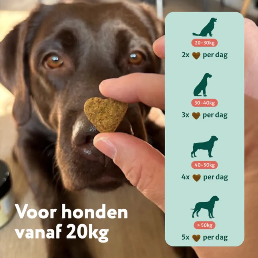 DogSuppy GroteHond Stress & Angst Snoepjes - 90 stuks - afbeelding 4 van 6