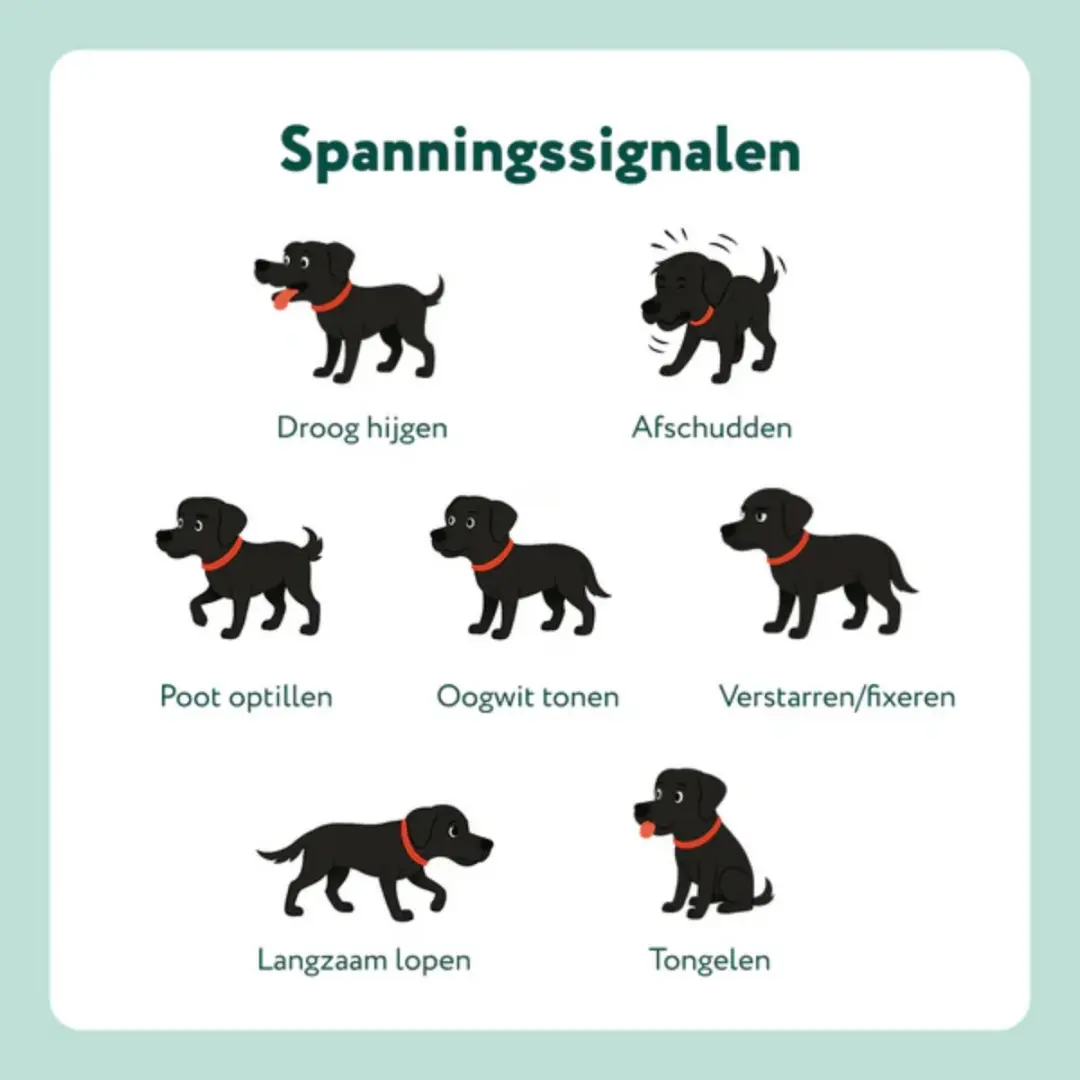 DogSuppy GroteHond Stress & Angst Snoepjes - 90 stuks - afbeelding 5 van 6