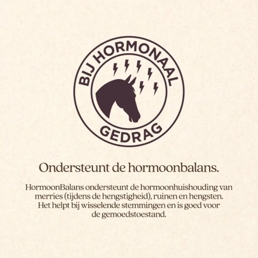 VITALstyle HormoonBalans Paardensupplement - 1 L - afbeelding 2 van 6