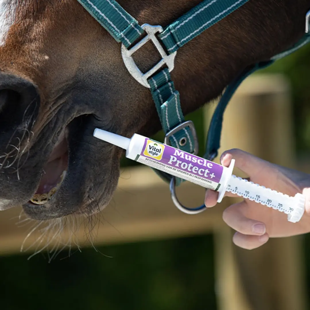 VITALstyle MuscleProtect+ Paardensupplement - 30ml - afbeelding 5 van 5