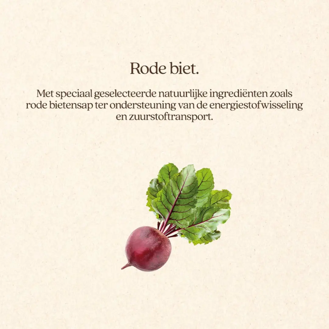 VITALstyle MuscleProtect+ Paardensupplement - 30ml - afbeelding 2 van 5