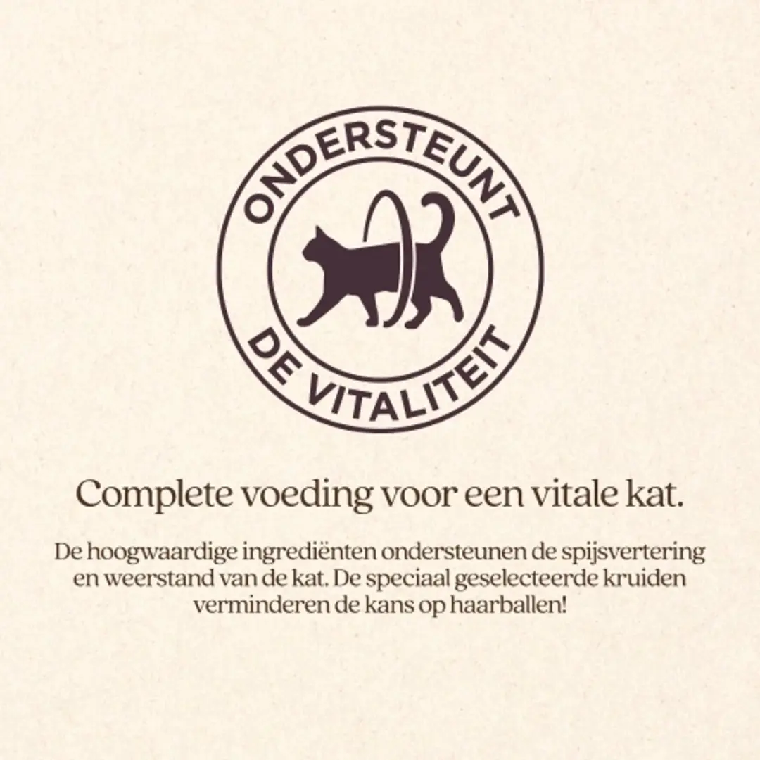VITALstyle Adult Original Kattenbrokken met Rund - 3,5 kg - afbeelding 2 van 5