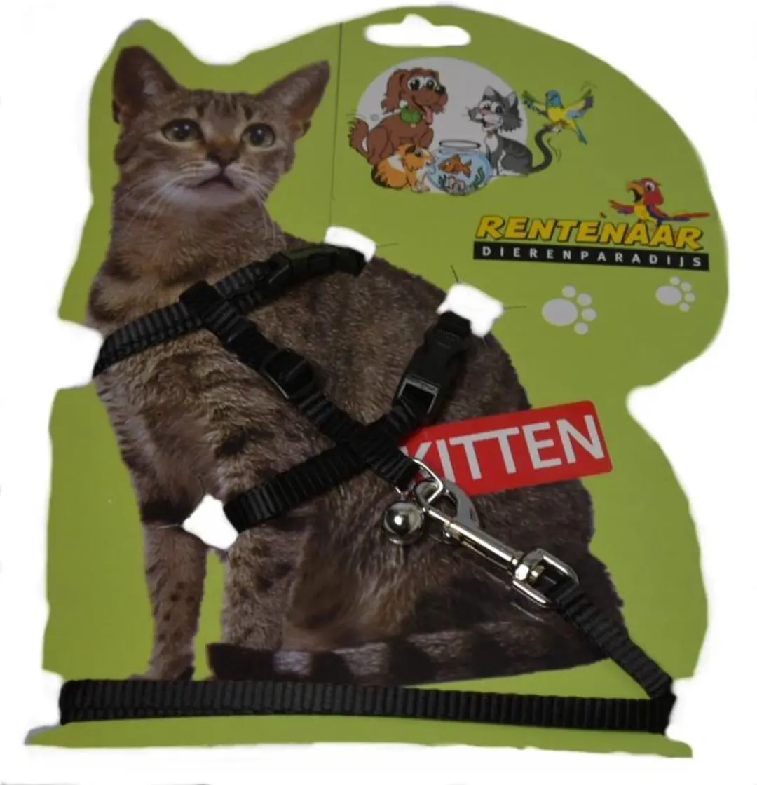 Kittentuigje Met Lijn Animal King