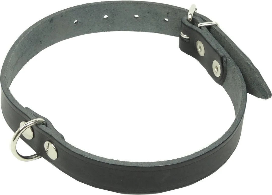 Kerbl Halsband Leer 36-46cm - Zwart