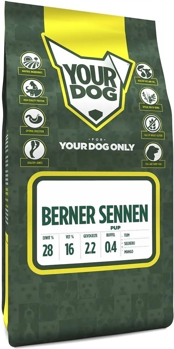 Yourdog berner sennen pup