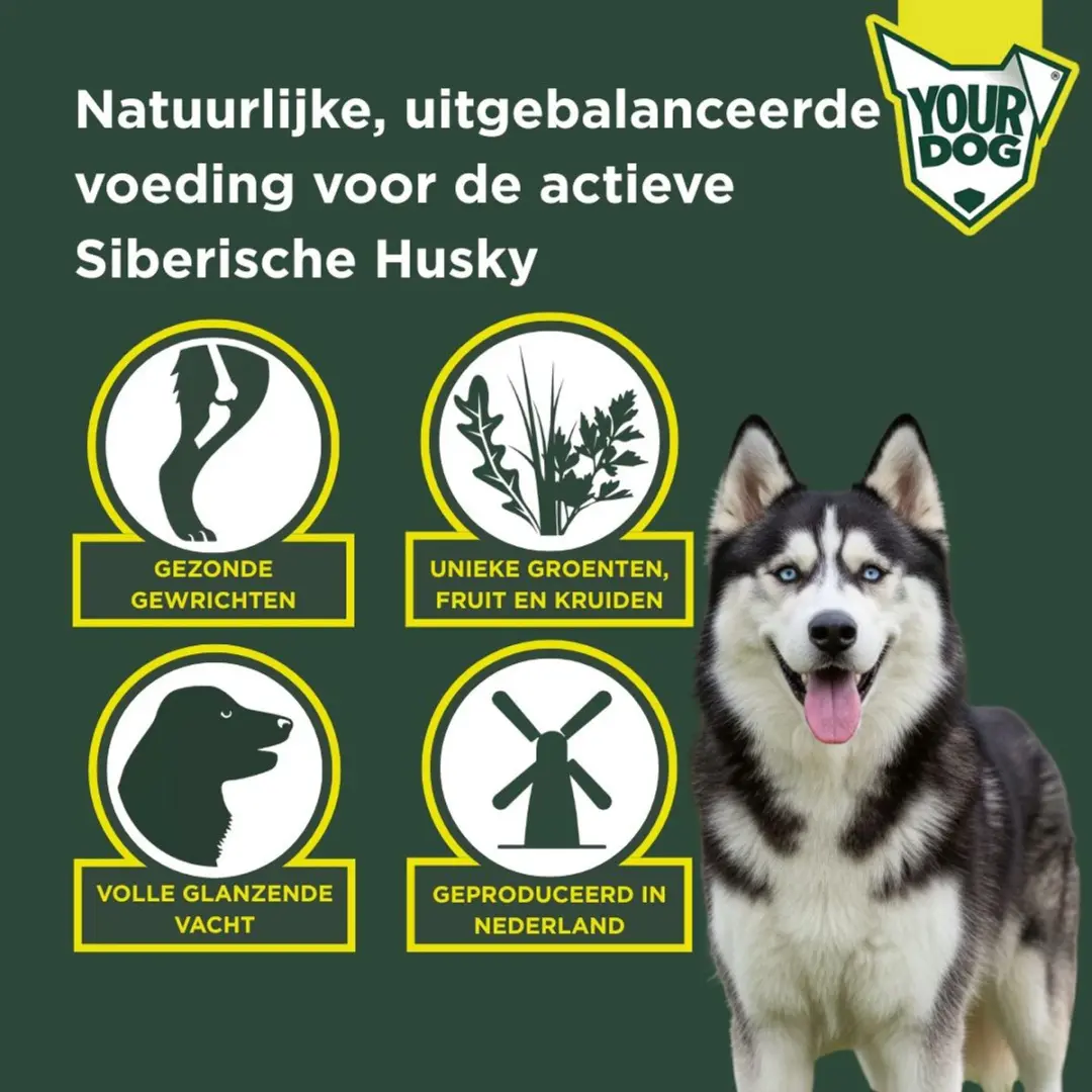 Yourdog Siberische Husky Pup Hondenbrokken - 12kg - afbeelding 2 van 4