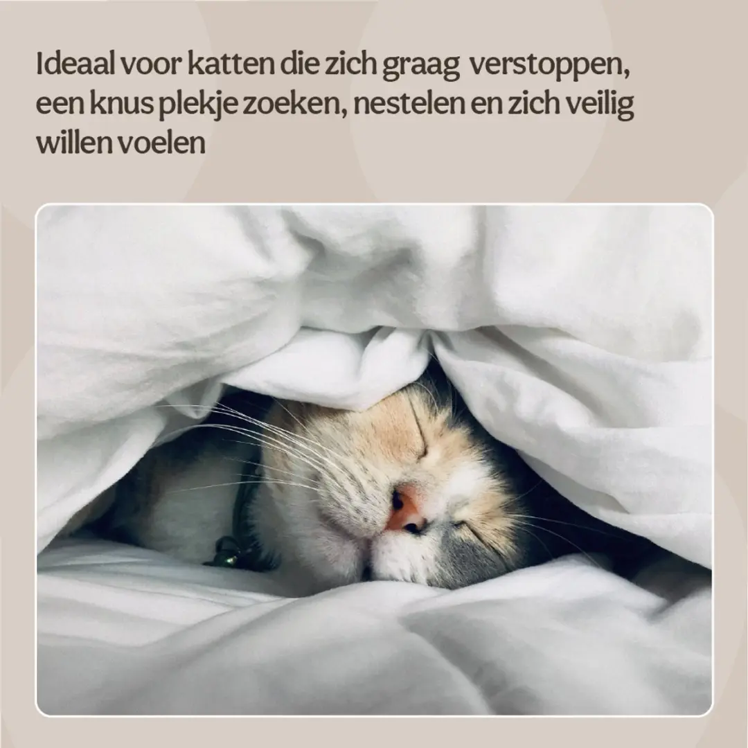 Rosewood Teddy Kattenmand 2-in-1 - Grijs - afbeelding 3 van 6
