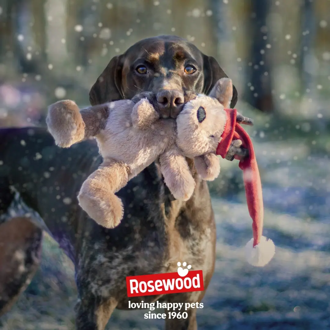 Rosewood Cupid & Comet Bram Beer Kerst Hondenspeelgoed - afbeelding 3 van 5