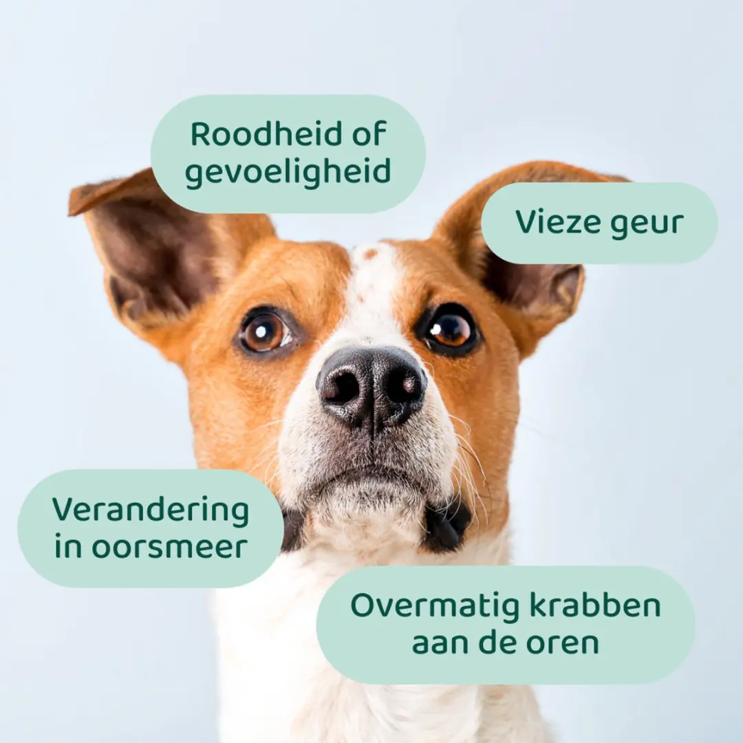 DogSuppy Oorreiniger Hond 100ml - afbeelding 3 van 6