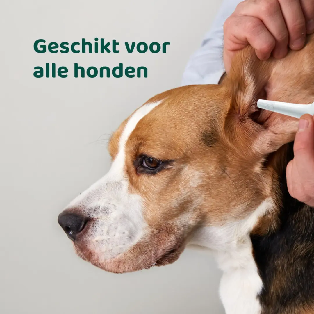 DogSuppy Oorreiniger Hond 100ml - afbeelding 4 van 6