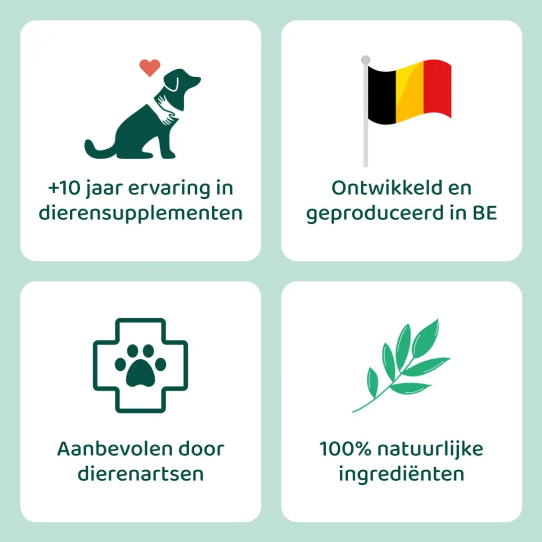 DogSuppy Probiotica Forte Zalm - 60 snoepjes - afbeelding 6 van 6