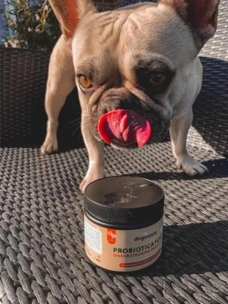 DogSuppy Probiotica Forte Zalm - 60 snoepjes - afbeelding 4 van 6