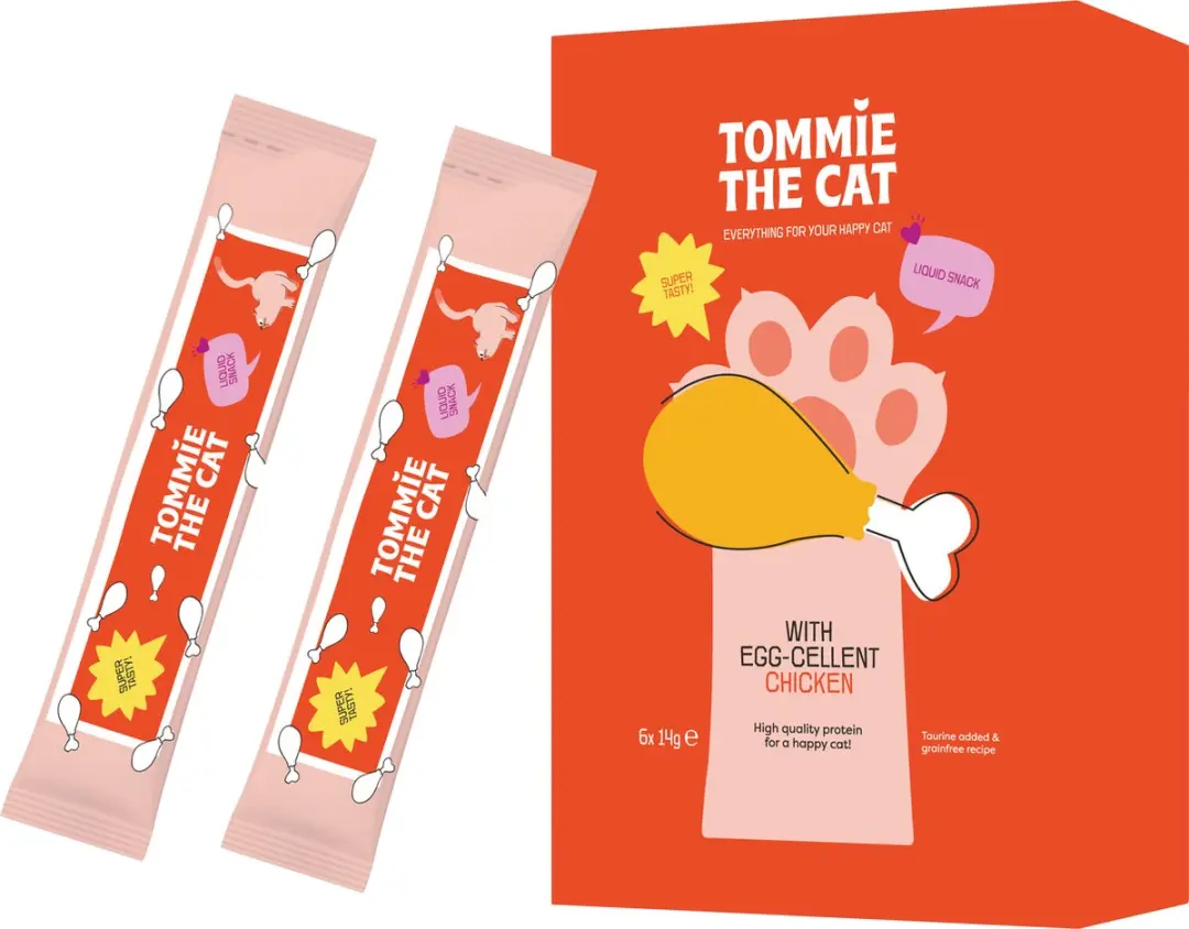 Tommie the Cat