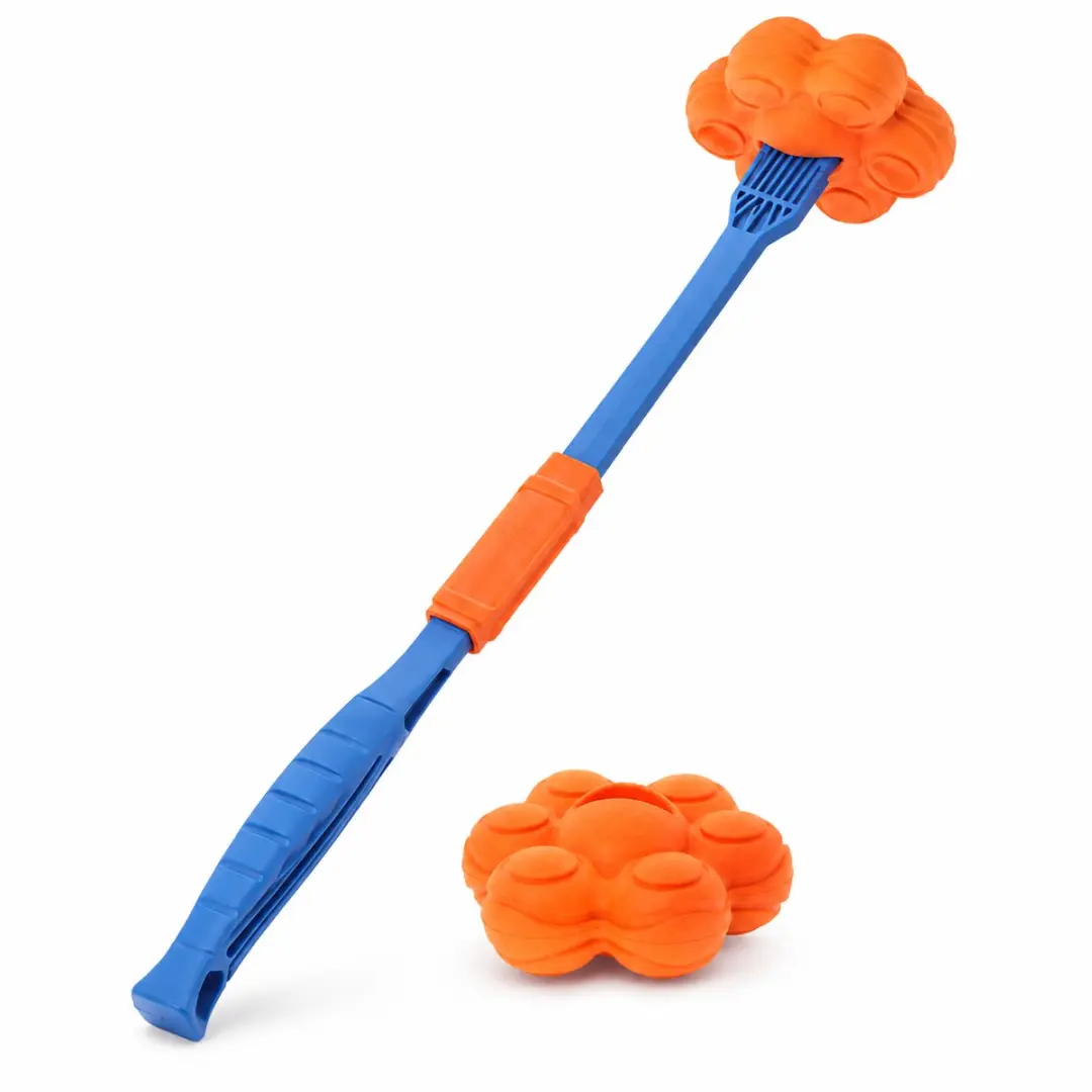 Rosewood FitDog Molecule Apporteerset met Launcher