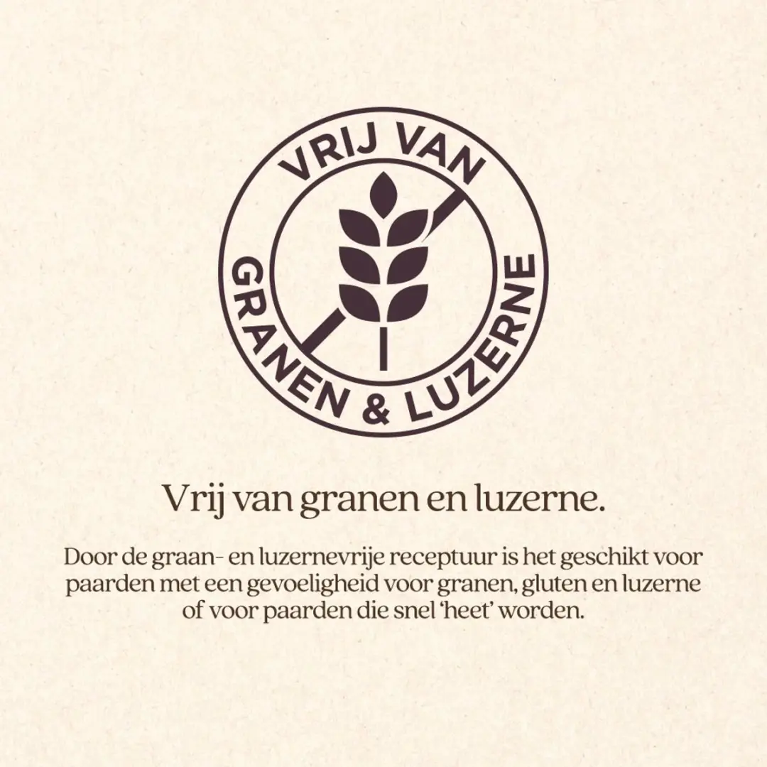 VITALstyle Gut & Gastro Paardenmuesli - 15 kg - afbeelding 3 van 5
