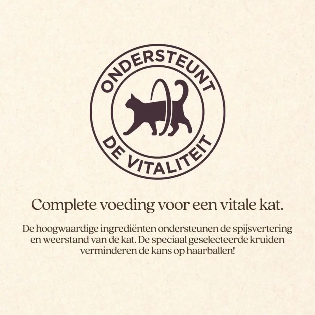 VITALstyle Adult Kip Kattenbrokken - 10 kg - afbeelding 2 van 5
