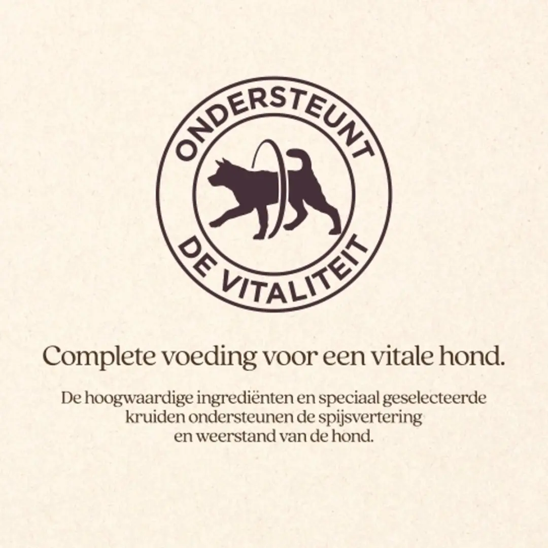 VITALstyle Adult Original Hondenvoer - 3 kg - afbeelding 3 van 6