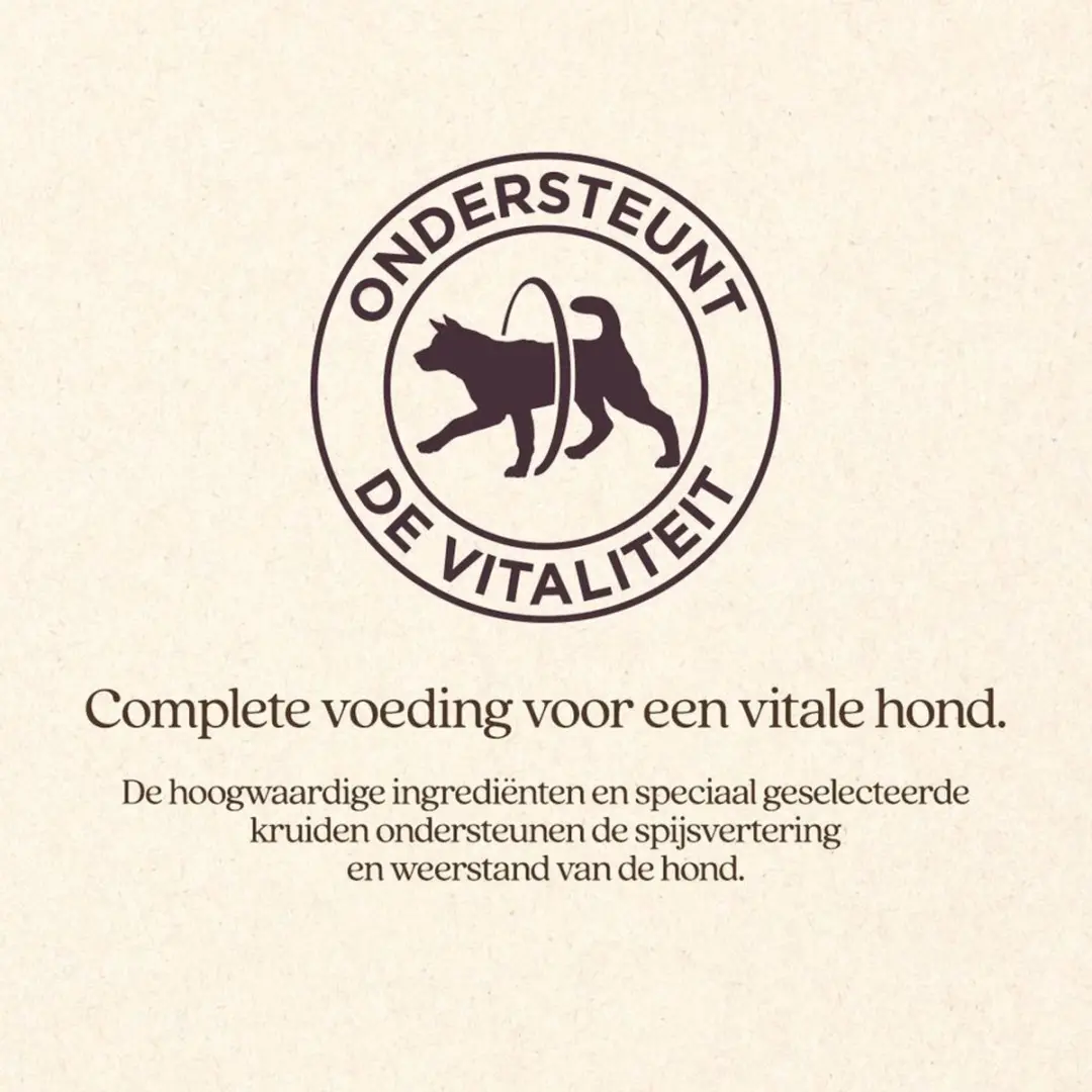 VITALstyle Senior Hondenbrokken - 12kg - afbeelding 3 van 6