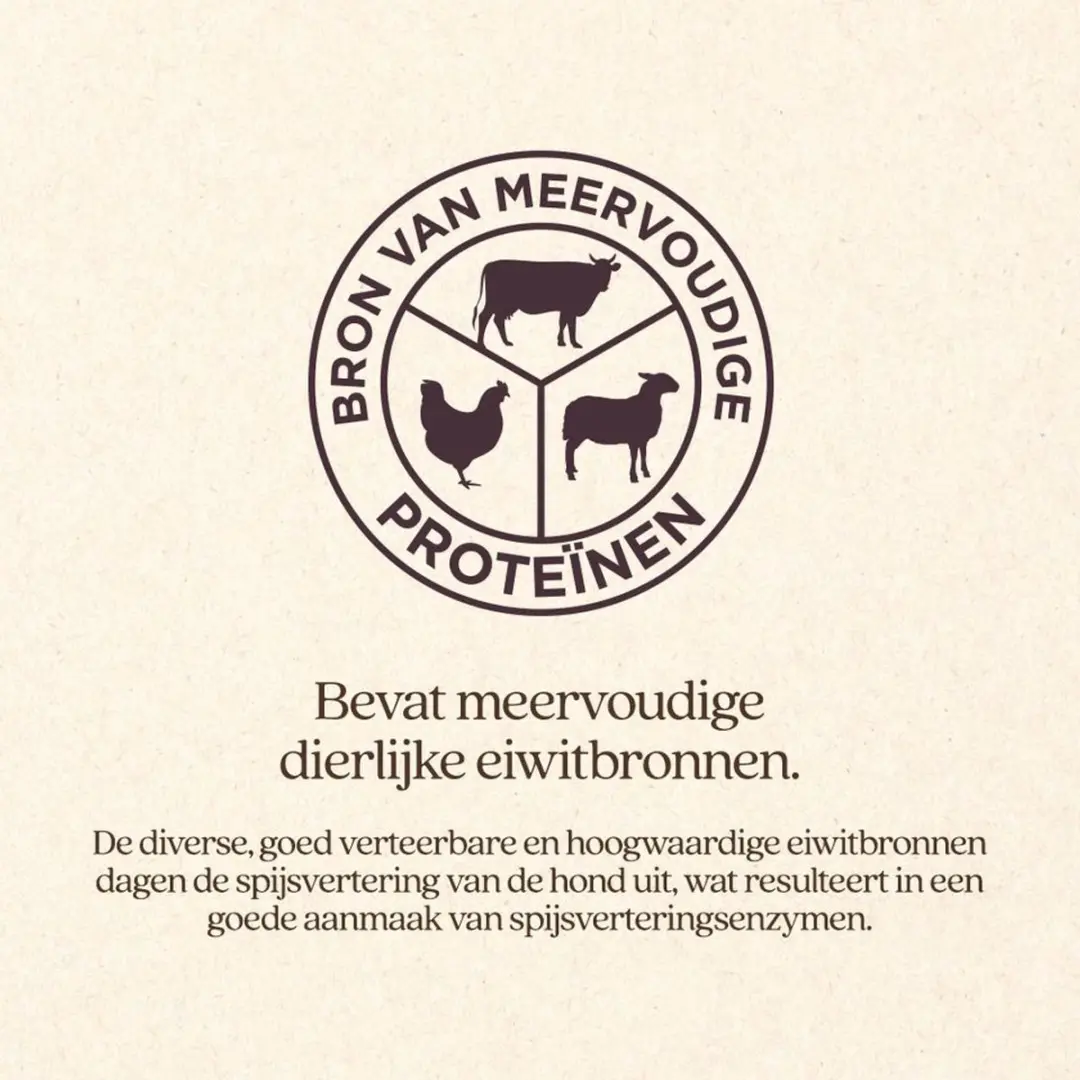 VITALstyle Weight Control Hondenbrokken - 3 kg - afbeelding 3 van 5