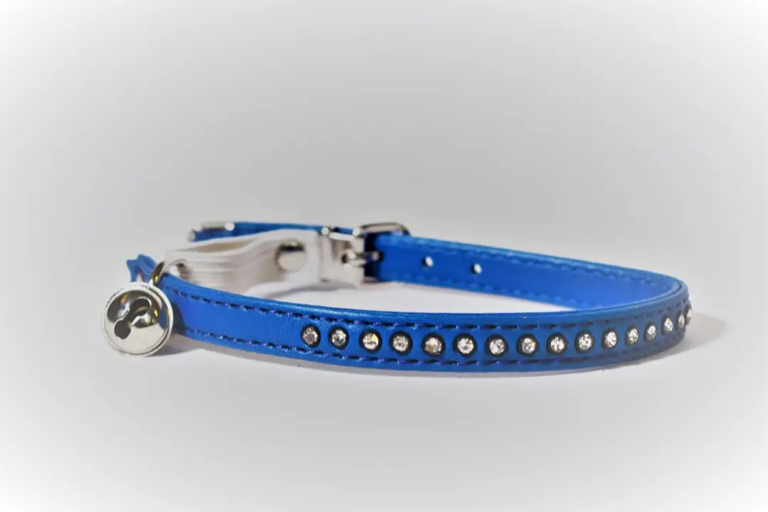 Animalking Kattenhalsband met Belletje