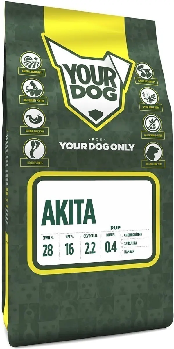 Yourdog akita pup