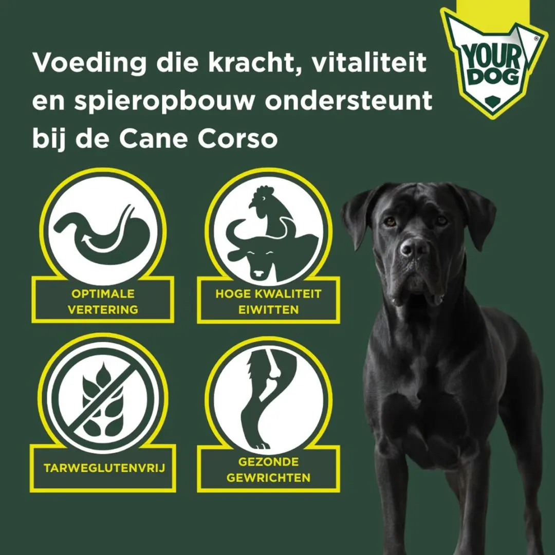 Yourdog Cane Corso Senior Hondenbrokken 12kg - afbeelding 2 van 4