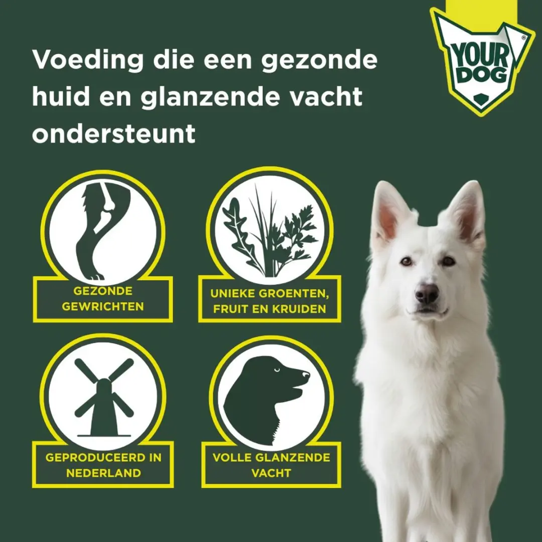 Yourdog Zwitserse Witte Herder Hondenbrokken Volwassen 12kg - afbeelding 3 van 4