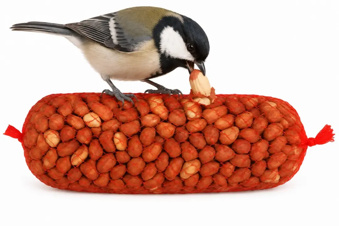 Animalking Pindas Voor Vogels